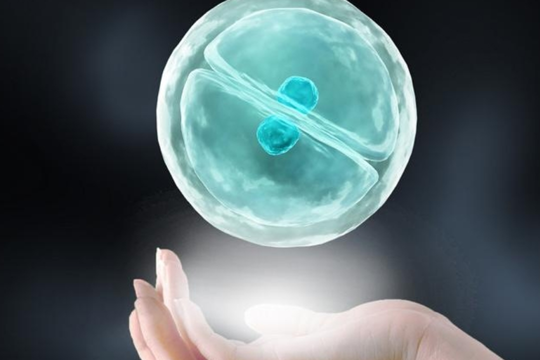 假代怀症状的持续时间解析