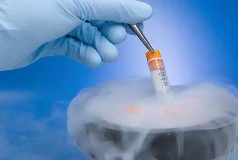 供卵宝宝长牙与发烧，家长须知